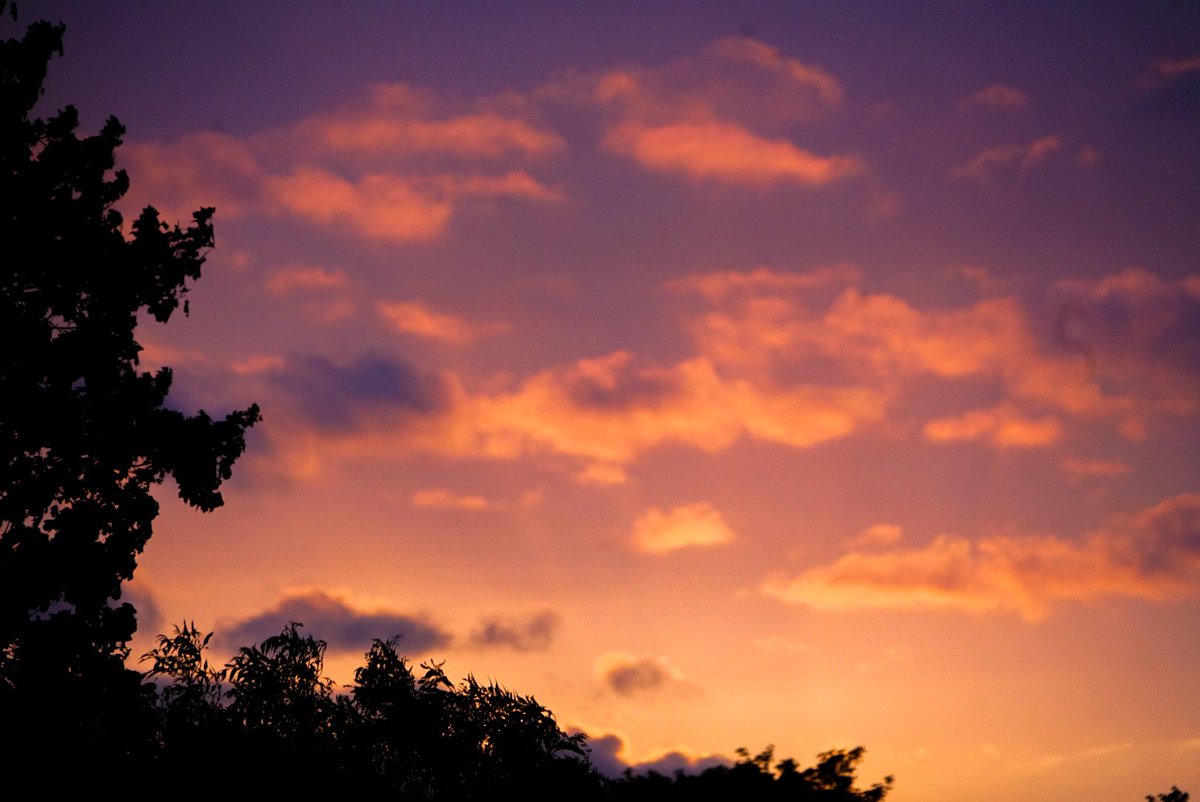 MSBlockRecruit's tweet image. Gorgeous evening last night 🧡 really appreciating these lighter evenings #goldenhour