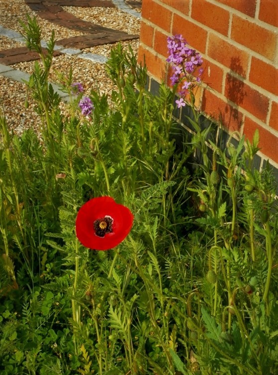 SarumCollege's tweet photo. Sometimes it can be important to let go of our struggles and anxieties, how ever hard that may seem. #Build #Flourish #Growth Today's #pauseforreflection by @R_C_Woodward 

@SarumCollege 
https://t.co/KVykPtAhPs https://t.co/448Px5hAdd