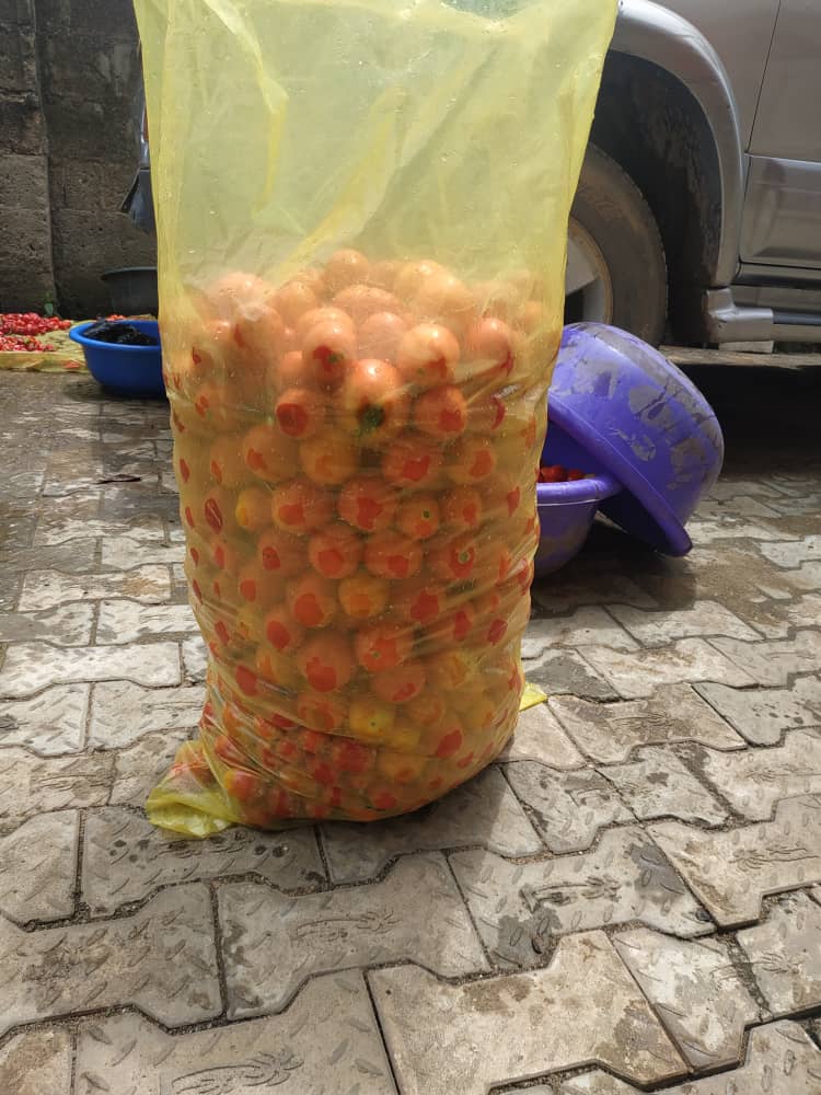 shawnsholdings's tweet photo. #freshTomatoes #freshChilli aka #rodo available for sale here @shawnsholdings . We also deliver to you anywhere in lagos.
Basket of tomatoes - 15k
Half & Quarter of a basket also available at 7500 and 3750. https://t.co/jXQHvgC4zN