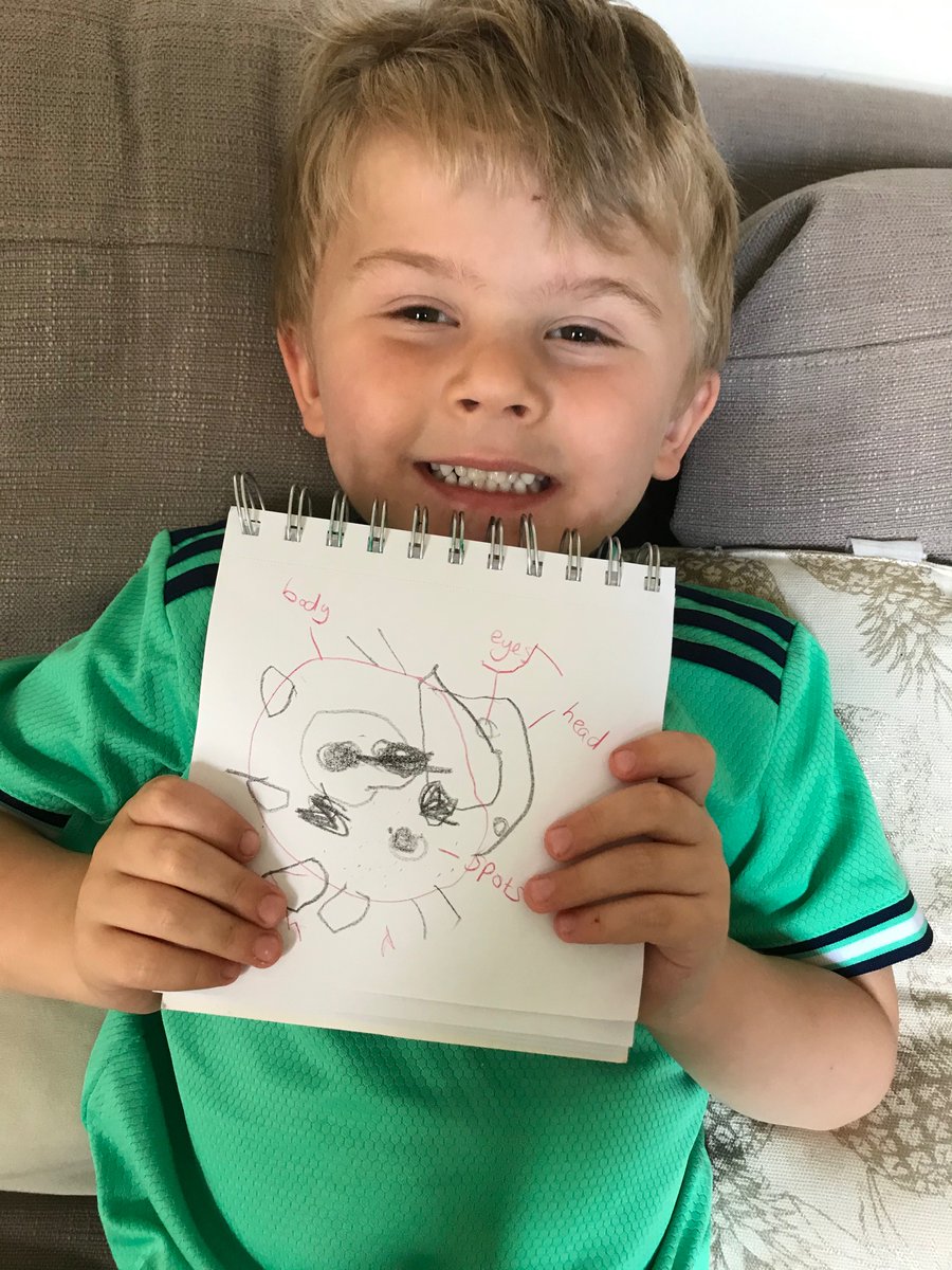 danielle_hole's tweet photo. Jackson’s brilliant ladybird drawing 🐞#5spots #ladybird @TanfieldPrimary https://t.co/VrxuifUz9h