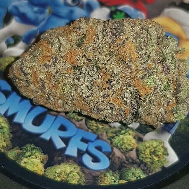 WeedStore13's tweet photo. 🌿 livraison en toute discrétion 🌿
        ��                 👇🇫🇷
🔥 WhatsApp //+33753204019
🔥 Wickr // weedpaname 33
🔥 Snap // weedpaname_thug 123

#weedparis #parisweed #weed #weedbelgium #aeroport #weed #paris #weedfrance #embarquement #vacances #voyage #depart #Chantilly https://t.co/tq1J7ue40e