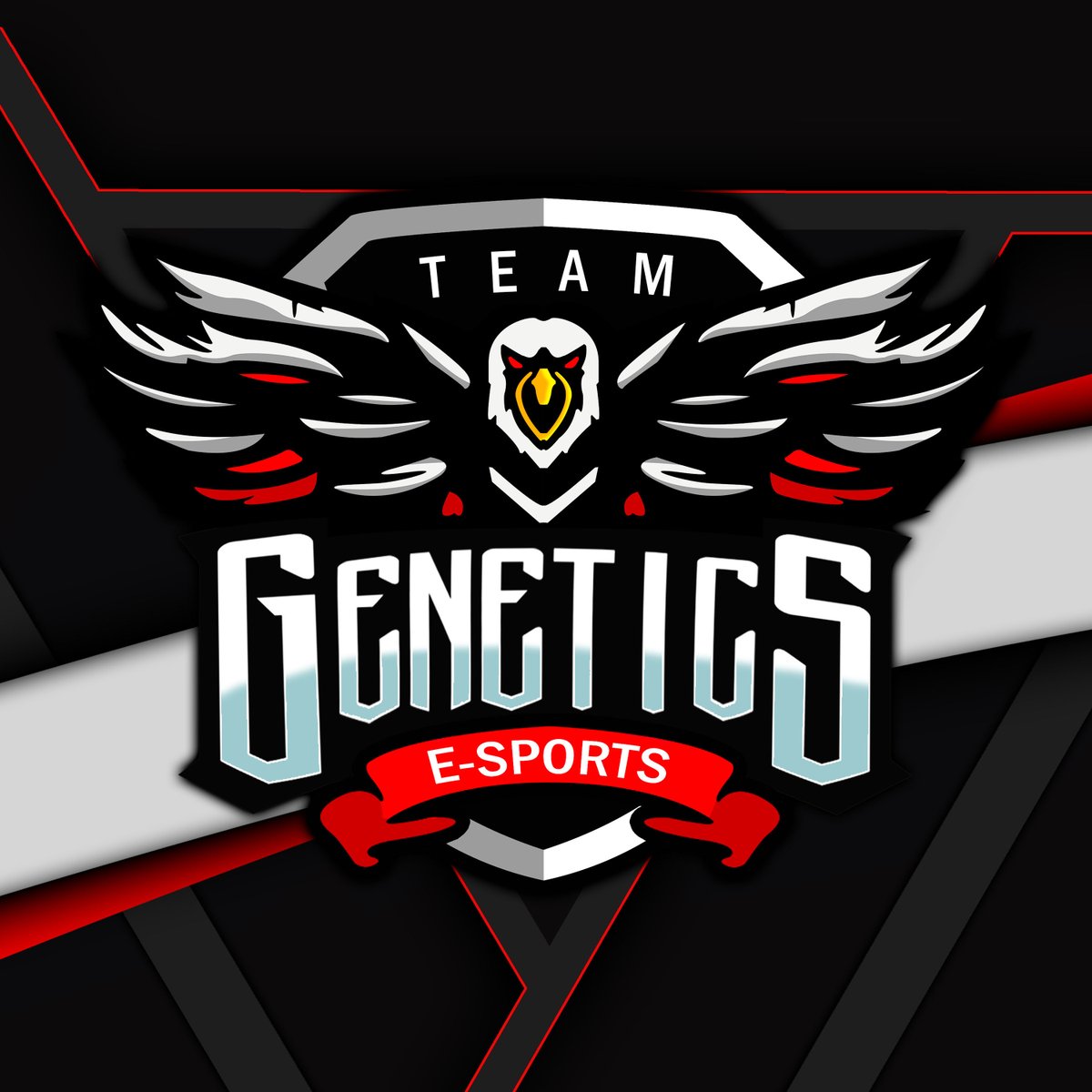 TeamGenetics_'s tweet photo. Heute spielt unser Academy-Team in der NoG League. Wir Wünschen euch viel erfolg und werden stehts hinter euch stehen!!

🆚Manguste AC
📺https://t.co/CcLXZnXQWu
🎙️@pr0text
⏰18:00

#Genetics https://t.co/Iqpg1QaFZt