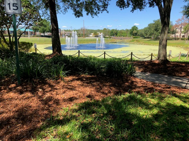 lloduca's tweet photo. Mulching today at Cypress Pointe - doing everything we can to get ready for our guests to come and stay with us! #perfectgetaway #welcomehome #perfectstaycation #staylocal #LifeAtDiamond #DiamondCareers @DiamondCareers @diamondresorts https://t.co/TFEMM7y1kg https://t.co/CnRHxKW5Cb