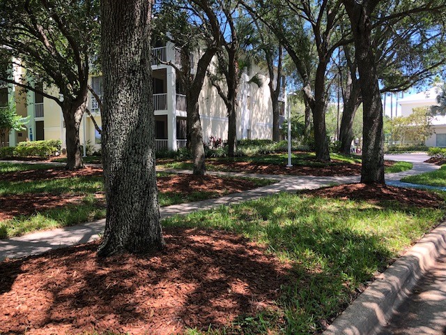 lloduca's tweet photo. Mulching today at Cypress Pointe - doing everything we can to get ready for our guests to come and stay with us! #perfectgetaway #welcomehome #perfectstaycation #staylocal #LifeAtDiamond #DiamondCareers @DiamondCareers @diamondresorts https://t.co/TFEMM7y1kg https://t.co/CnRHxKW5Cb