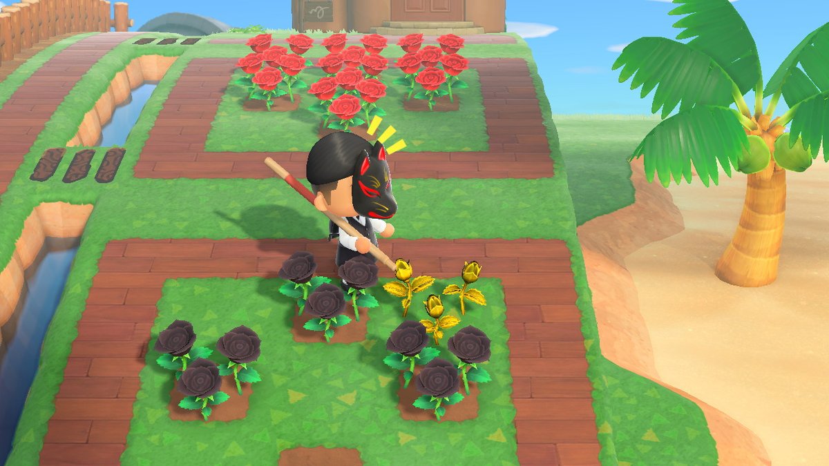 Laron_Playz's tweet photo. #AnimalCrossing #ACNH #NintendoSwitch https://t.co/lt1pXoWAYX
