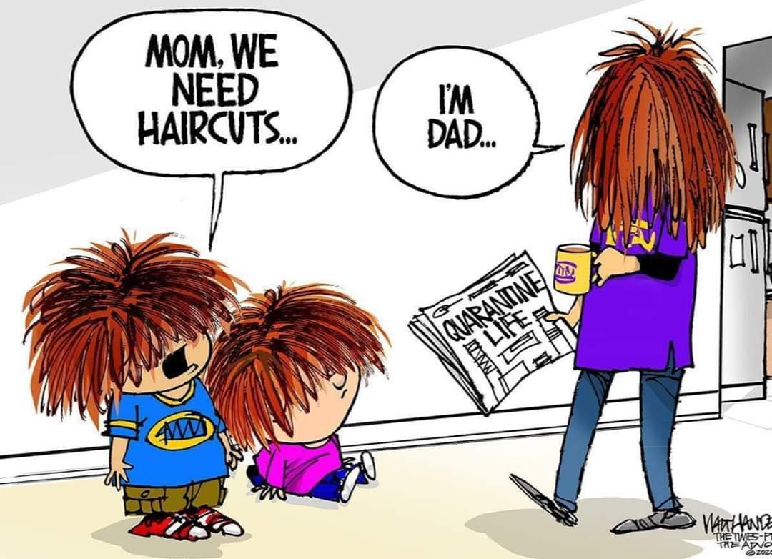 Junaid Shah (@THEREALSHAH) / X