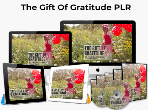 UsePLR's tweet photo. The Gift of Gratitude

 There really is a power in gratitude, and today my friends YuShaun and Cally are spreading gratitude with their new Gift of Gratitude PLR bundle.

https://t.co/whYFFl9LMZ

#GratitudePLR #PersonalDevelopmentPLR https://t.co/VyCY60W0ZK