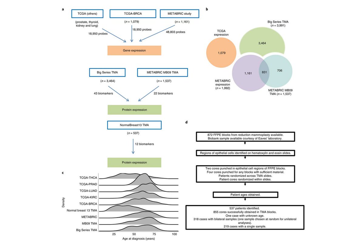 Nature Cancer (@naturecancer) on Twitter photo ONLINE NOW <a href="/NatureCancer/">Nature Cancer</a> : "Age-correlated protein and transcript expression in breast cancer and normal breast tissues is dominated by host endocrine effects" by <a href="/sajraparicio/">Samuel Aparicio</a> and colleagues.
Check it out here:
nature.com/articles/s4301… ONLINE NOW <a href="/NatureCancer/">Nature Cancer</a> : "Age-correlated protein and transcript expression in breast cancer and normal breast tissues is dominated by host endocrine effects" by <a href="/sajraparicio/">Samuel Aparicio</a> and colleagues.
Check it out here:
nature.com/articles/s4301…