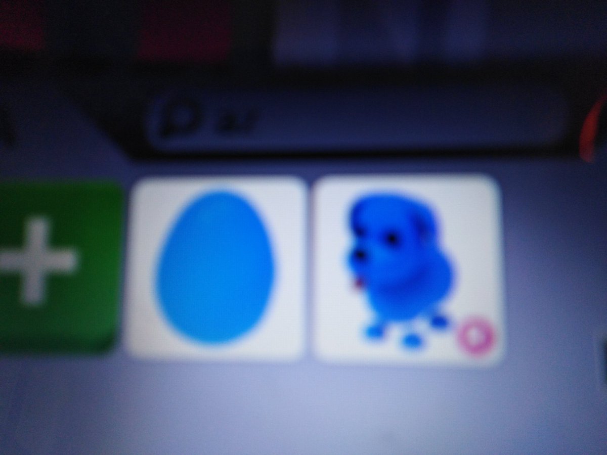 xFranGame1's tweet photo. OFFERS? #ADOPTMETRADES #ADOPTMETRADE #ADOPTMETRADING #ADOPTMEFAN #ADOPTME https://t.co/x9G1raOEZo