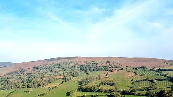 Rob Yorke tweet media