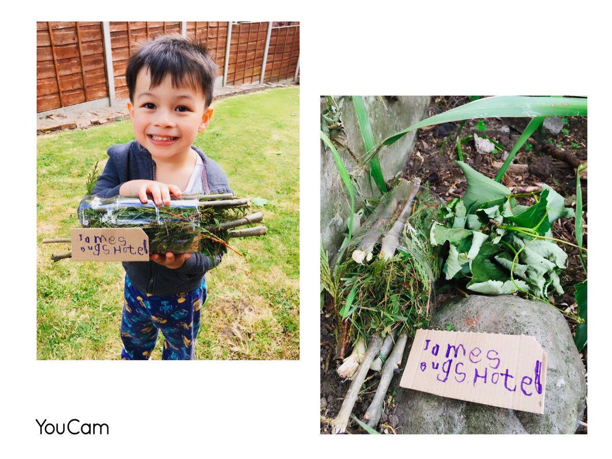 gerliepeel's tweet photo. @APSMissButler and @mrsseatonaps James made a hotel bugs today. He’s been looking forward to see who is coming to stay.❤️ https://t.co/1HxppivJRV