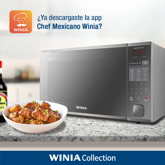 Winia Electronics México