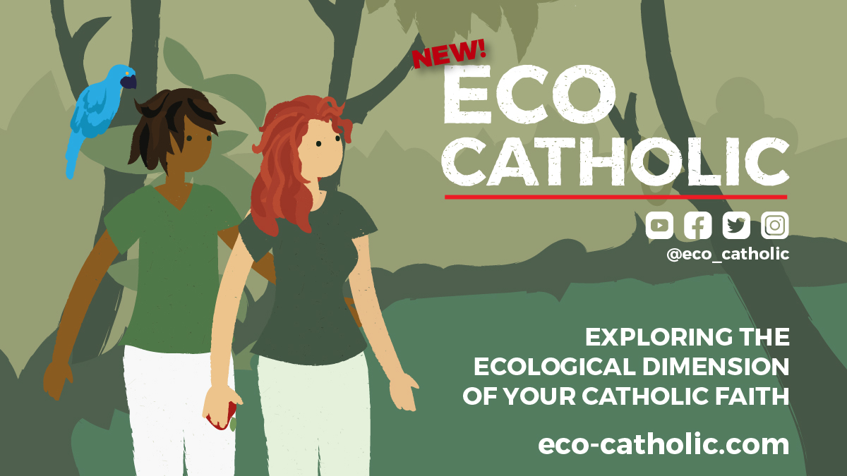 eco_catholic's tweet photo. We're launching next week, in time for #LaudatoSi5 week. Our press release is available here: https://t.co/K6GkW0SyPQ @CathClimateMvmt @CatholicHerald @USCCB https://t.co/qPdfC4CIIf
