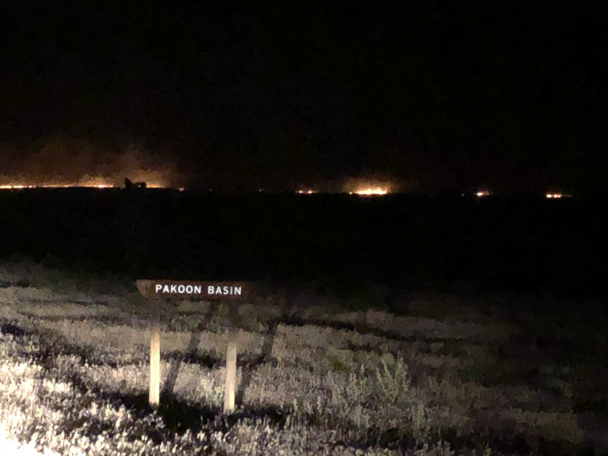 BLMAZFire's tweet photo. ASD - #BasinFire: 25 mi SE of Mesquite, NV in the Grand Canyon-Parashant National Monument; started Sunday by lightning from passing t-storms; approx 10,000 ac. Fire is burning in critical tortoise habitat, no structure threats. RedFlag conditions expected in the area #AZFire https://t.co/7sWLP4rCeg