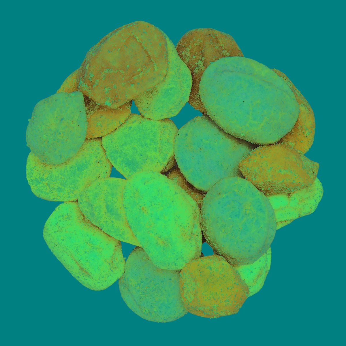 ColmadoSingular's tweet photo. Bolitas Alegres (Happy Balls) de Singular Snacks, ¿quieres saber más?
Aquí tienes la valoración del producto por @AinhoaSingular.
Formatos disponibles:
Bolitas Alegres 50 g, 150 g y 1,2 kg.
Link: https://t.co/P6TCdy3xRx
#HappyBallssnack #happyBalls https://t.co/gU63iaL9pI