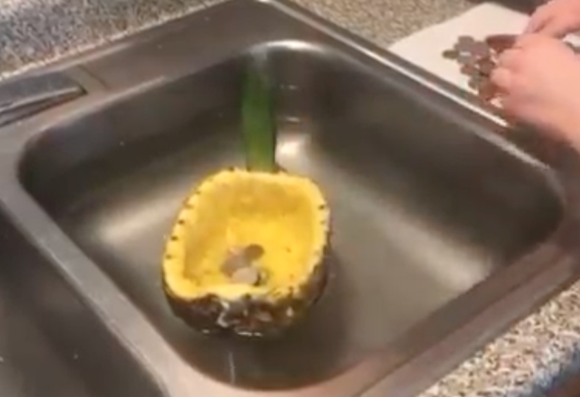 April Hunt tweet media