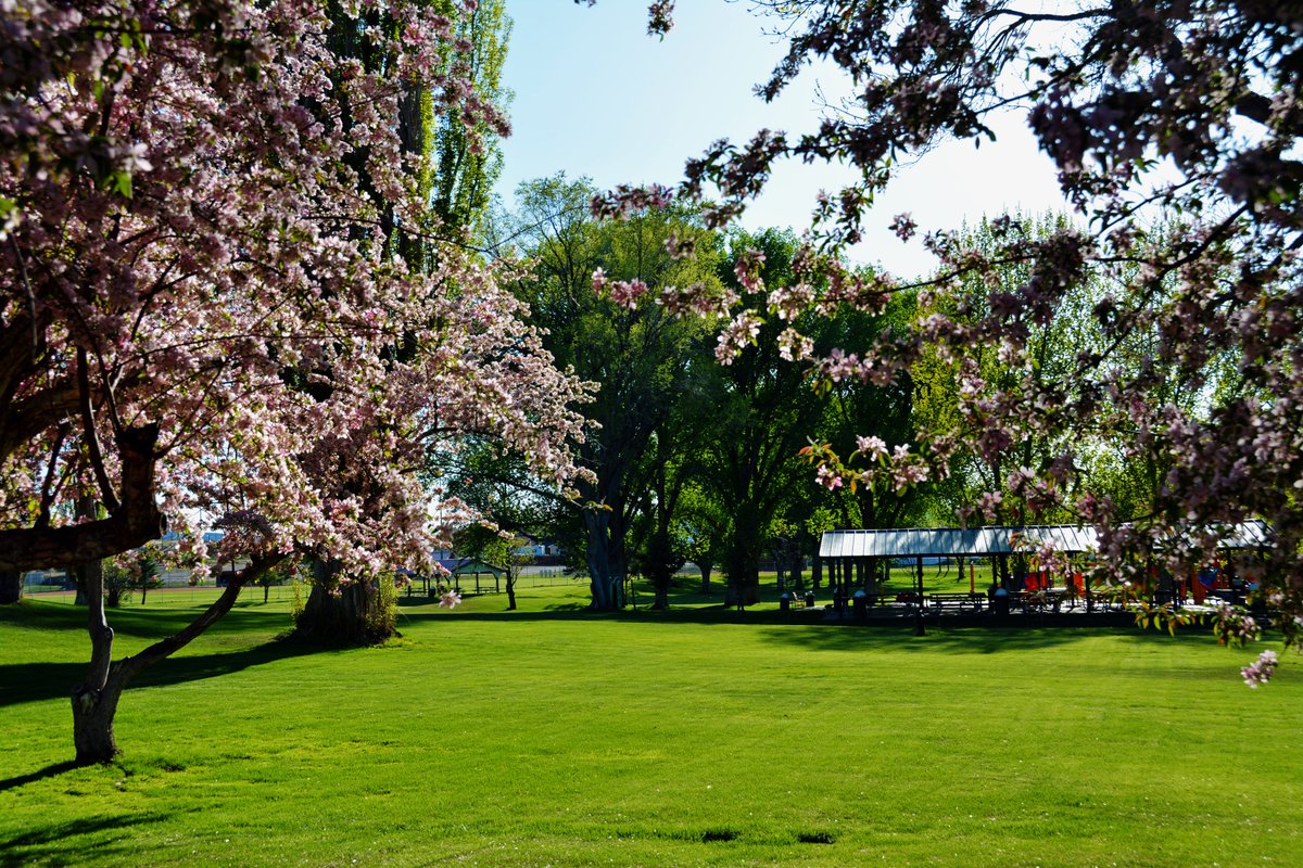 TownofRangelyCO's tweet photo. Our town is fortunate to have a large, immaculately groomed park like "Elks Parks." As a town we look forward to the time when we can all gather there together to enjoy our friendships & activities we each love & enjoy. #RangelyCO #nature #outdoors #parks #parksandrecreation https://t.co/cmYJScCdbi