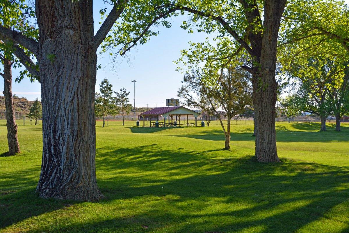 TownofRangelyCO's tweet photo. Our town is fortunate to have a large, immaculately groomed park like "Elks Parks." As a town we look forward to the time when we can all gather there together to enjoy our friendships & activities we each love & enjoy. #RangelyCO #nature #outdoors #parks #parksandrecreation https://t.co/cmYJScCdbi
