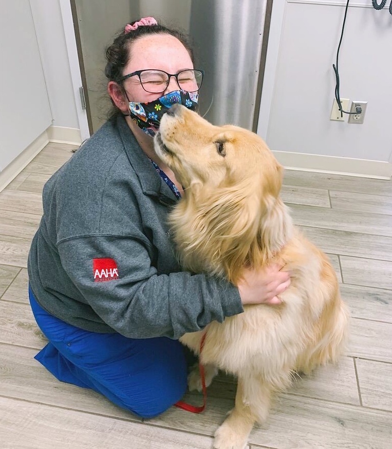 AMHCharlotte's tweet photo. Felix enjoying a little extra loving during his visit 🥰😍 https://t.co/DgQQe1QKPP