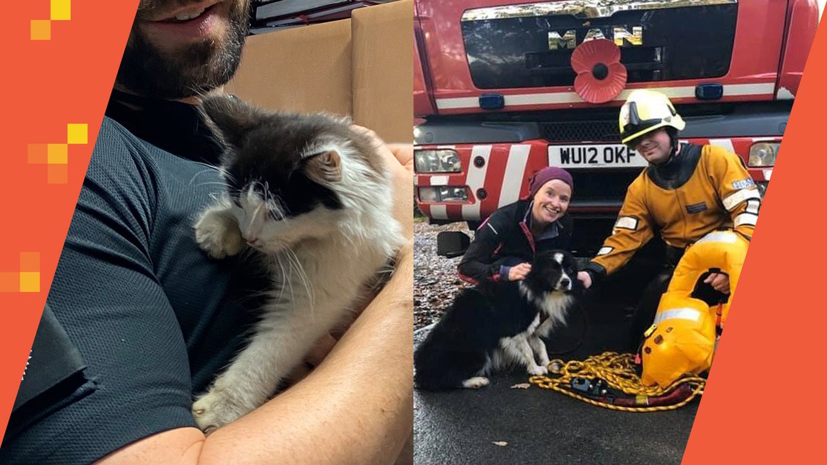 Image on left shows man cradling kitten. Image on right shows fire fighters with rescued dog.