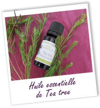 Sinon,y’a l’huile essentielle d’arbre à thé qui fait le même taff. Faut imbiber un coton tige & l’appliquer sur les boutons.C fort donc faites un test sur l’intérieur de votre avant bras pour voir si votre peau tolère. Si tu tolères pas, force pas ça va te brûler la peau (2,50€)