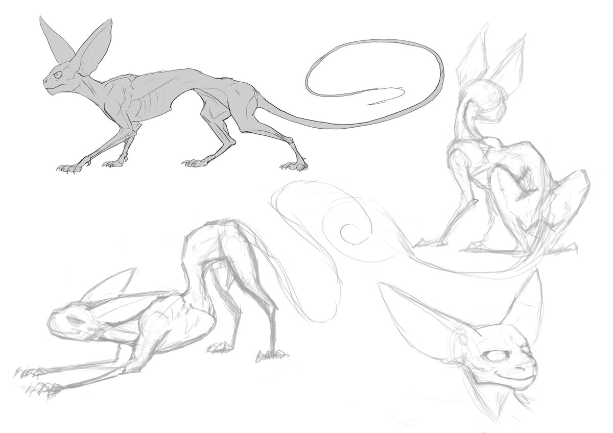 The_Gremlin_Cat's tweet photo. really really rough sketches for a form of some shape shifting characters #comic #creature #character #characterdesign #sketches #creaturedesign #digitalsketches #ownproject #comicproject #digitalsketch #digitalart #shapeshifter #cat #gremlincat https://t.co/hMRJn2yjjL