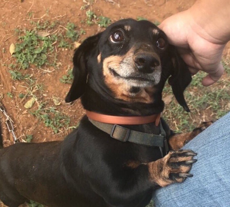 +Sınav neden temmuz sonu olsun?
-çünkü lütfen :(
 #SınavTemmuzSonu