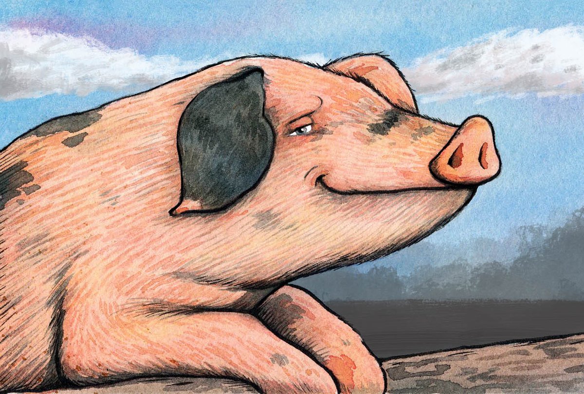 JamesCottell's tweet photo. Here’s a cute little pig to cut through all the doom 🐽🐷 #pig #illustration #painting #art #artwork #cute #animal #farm #animalfarm #drawing #happyasapigin 💩 https://t.co/PProzejI8s