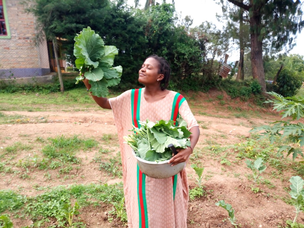 MrishoNizar's tweet photo. Yesterday was harvest day and the yield is just perfect.proud to have my sis behind my back. Harvested is chinese cabbage,spring onions,collard & spinach
Call me the #vegetableguy
Here to give u all that u need
@ThePhillyMina @mp3mb3ra
@Zahc_Shyaka @Mykol22 https://t.co/AAKCc8o76J