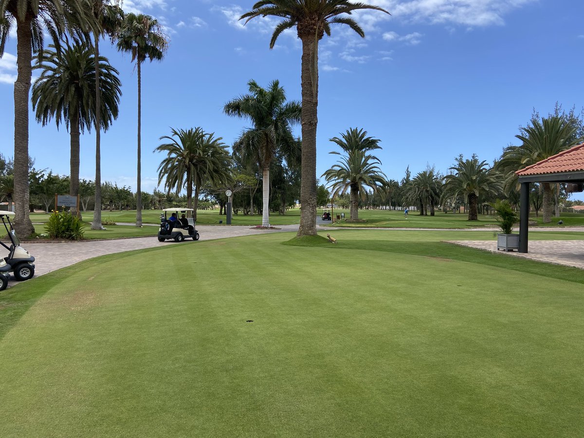 Rob McElnea tweet media