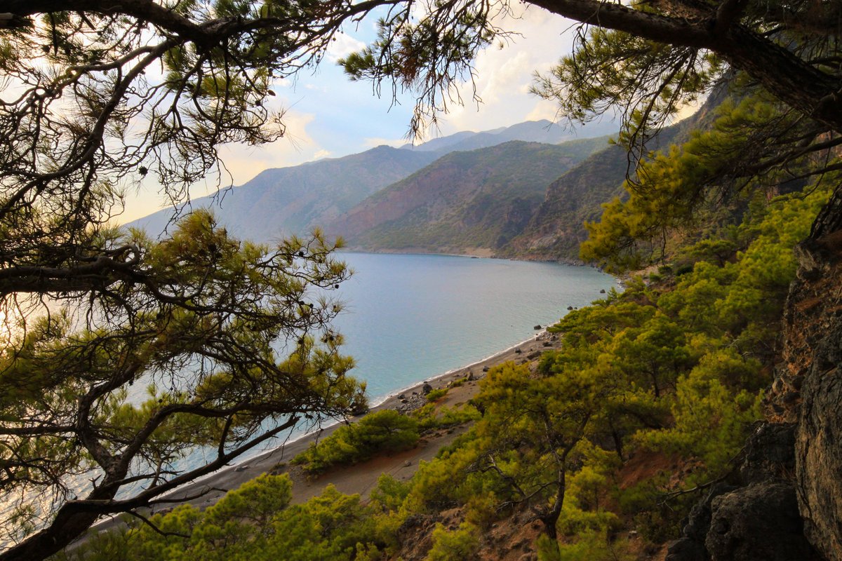 WildGuideGreece tweet picture