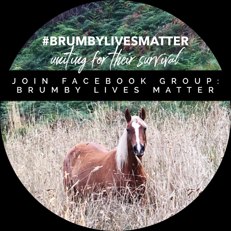 devilschild1970's tweet image. 