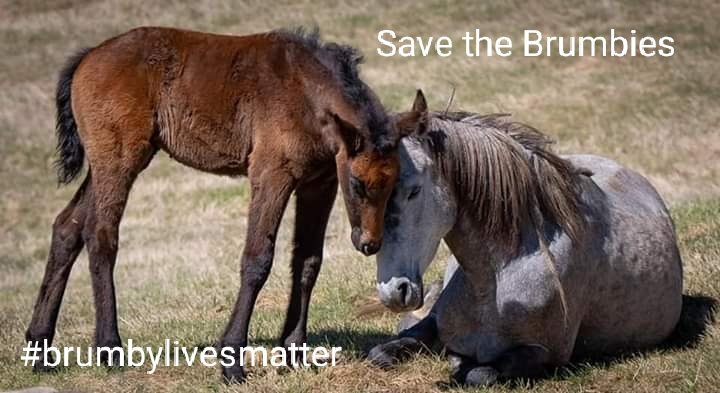 devilschild1970's tweet image. 