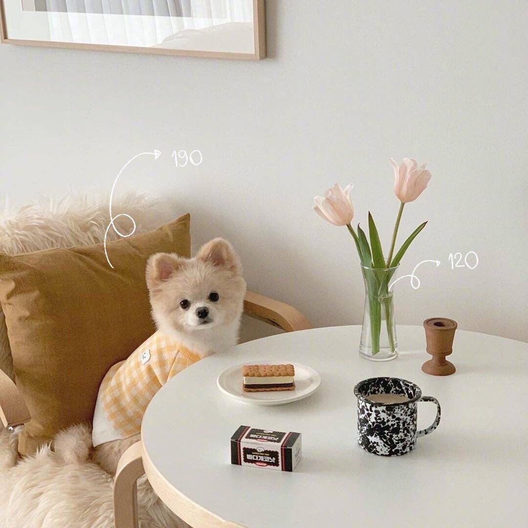 pinkkwordq's tweet image. ก็คือคิดด้วยว่าจะเอาพวกhome and living 💒มาขายด้วยไหม ถ้าขายก็คือตามนี้เลยคอนเซปเดิมกำไรไม่ได้ขายเอามัน อันนี้เอาเรฟไปเทียบกับของที่หาได้ก็คือราคาดีมาก