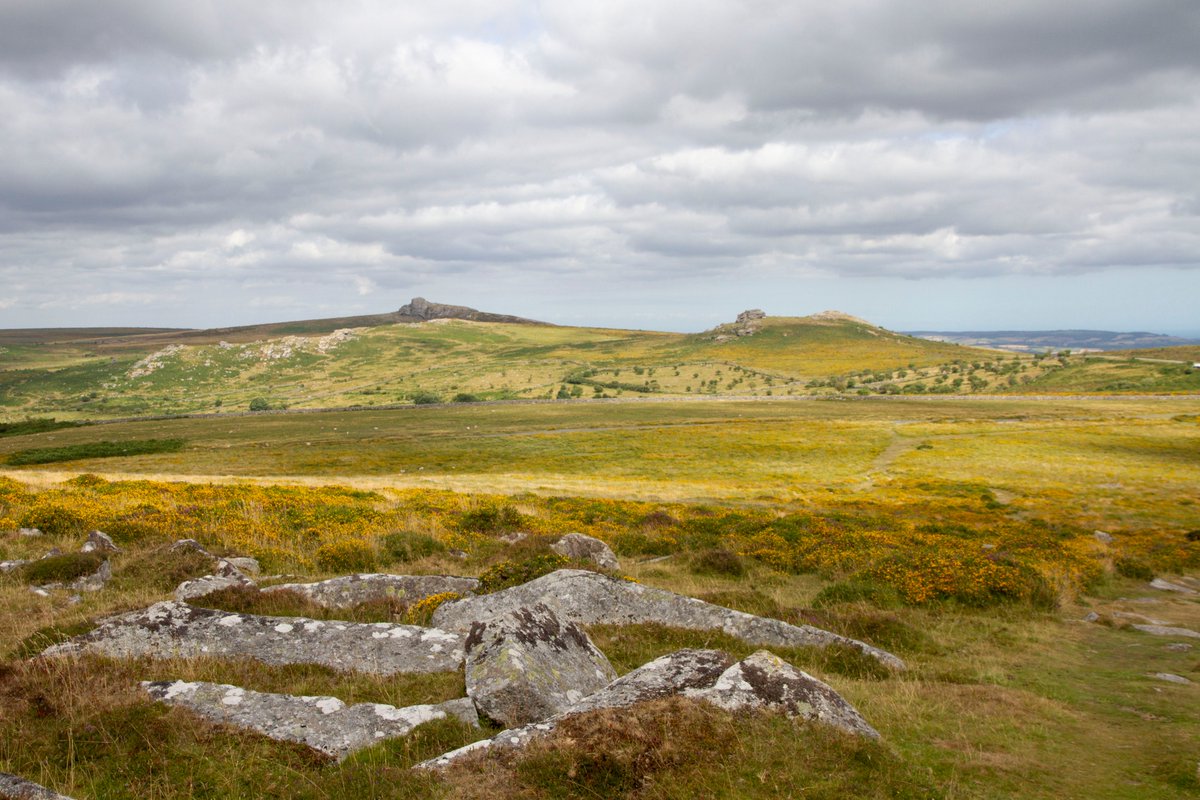 1/2 Following the Prime Minister's statement on Sunday 10 May we are reviewing how we are able to safely welcome visitors back to #Dartmoor from Wednesday 13 May. We are looking at how we can re-open car parks and toilets and await further guidance on how we can do this safely.