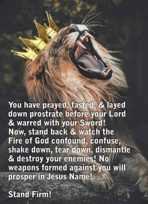 JUBILEE_7DOUBLE's tweet photo. @JoyPrinceton Amein v Amein ππ₯πππ₯πππ TRUTH https://t.co/L5UXqSuexb