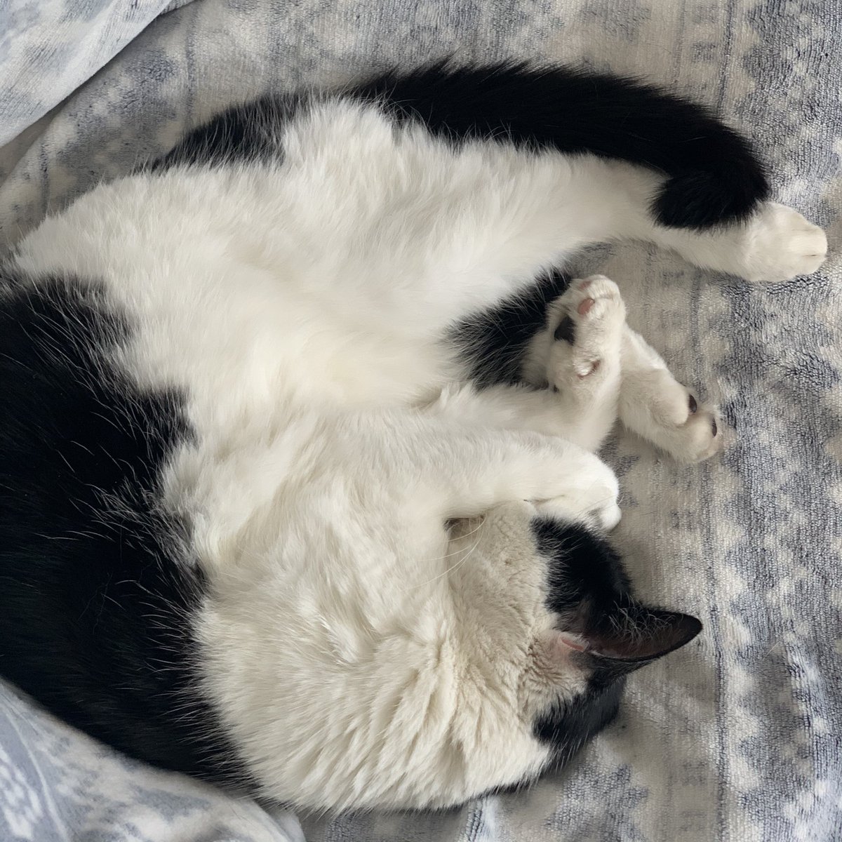 AzBC123's tweet image. まぶしい
置きたくなーい