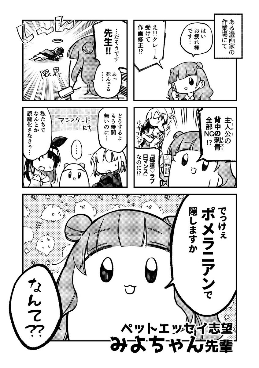 ペットエッセイ志望みよちゃん先輩(1/3) 