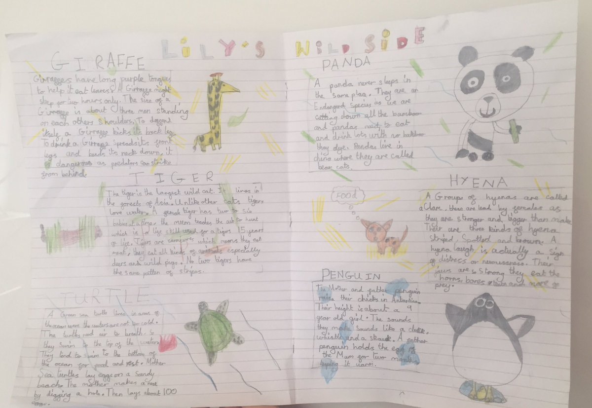 L worked hard last week researching information about wild animals for her double page spread, finishing her pictures over the weekend 🐼🐅🦒🐧 <a href="/StLawrenceCEPr1/">StLawrenceCEPrimary</a>