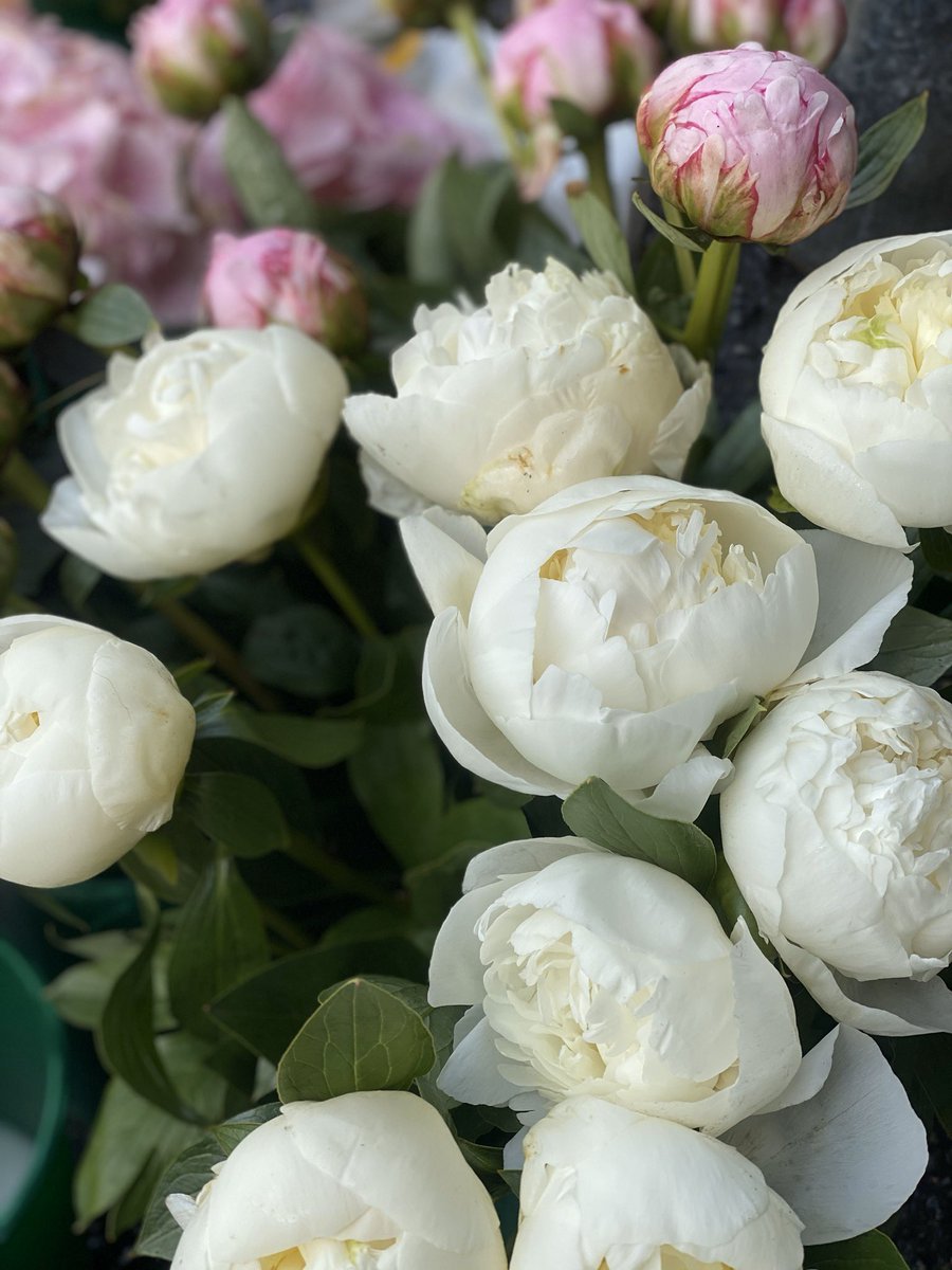 The Flower Cabin tweet media