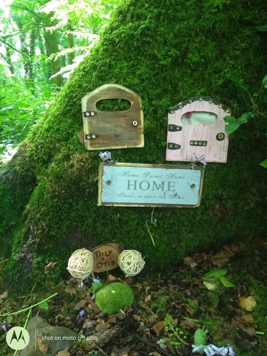 TomGCasey's tweet photo. A walk in the nearby woods unearthed these gems...#wellbeing #timeforthought https://t.co/7jppKKZpUg