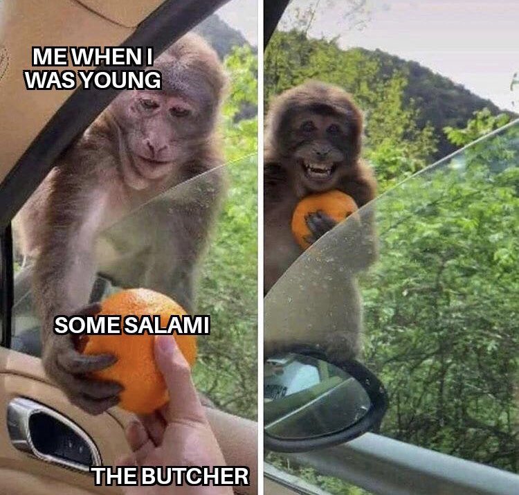 Respectful Memes tweet media