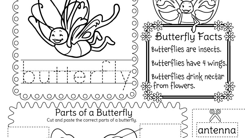 kindergarten wsheets sur twitter we just updated our free butterfly worksheets all of these kindergarten worksheets are new we hope you like them you can download and print them right now