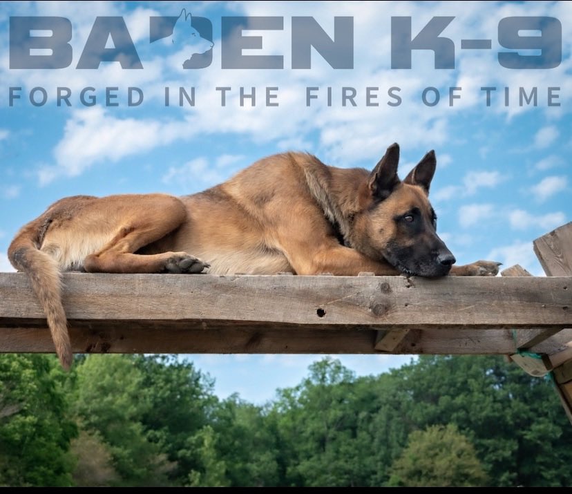 It is great comfort in these times of social distancing to have the companionship and close comfort of a good dog. 
Mike McConnery

#badenk9 #mikemcconnery #dog #training #quotes #malinois #family  #puppy #k9 #dutchshepherd #friends  #dogtraining #veterans #protectiondog