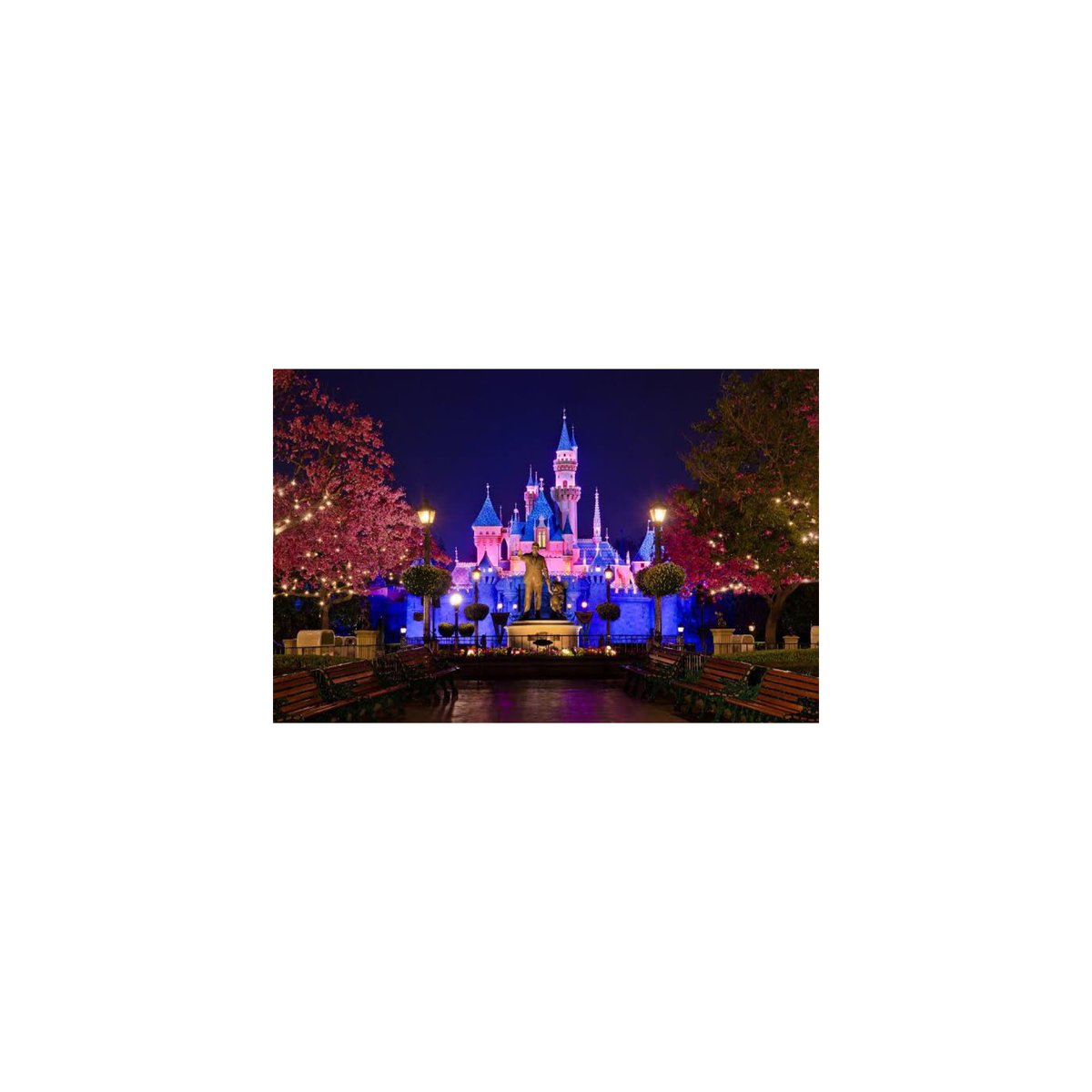 boxerpureblood's tweet image. # 𝗥𝗼𝗹𝗲-𝗣𝗹𝗮𝘆 

    📍 𝗗𝗶𝘀𝗻𝗲𝘆𝗹𝗮𝗻𝗱 𝗖𝗮𝗹𝗶𝗳𝗼𝗿𝗻𝗶𝗮
          1313 Disneyland Dr, Anaheim, CA

                  𝘙𝘦𝘮𝘦𝘮𝘣𝘦𝘳 𝘵𝘰𝘯𝘪𝘨𝘩𝘵, 
       𝘧𝘰𝘳 𝘪𝘵 𝘪𝘴 𝘵𝘩𝘦 𝙗𝙚𝙜𝙞𝙣𝙣𝙞𝙣𝙜 𝘰𝘧 𝘢𝘭𝘸𝘢𝘺𝘴✨
⠀  
⠀
