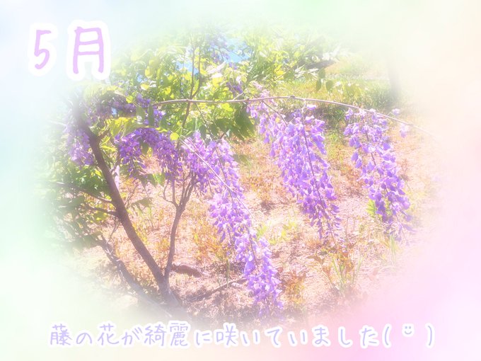 藤の花のtwitterイラスト検索結果 古い順 藤の花のtwitterイラスト検索結果 古い順