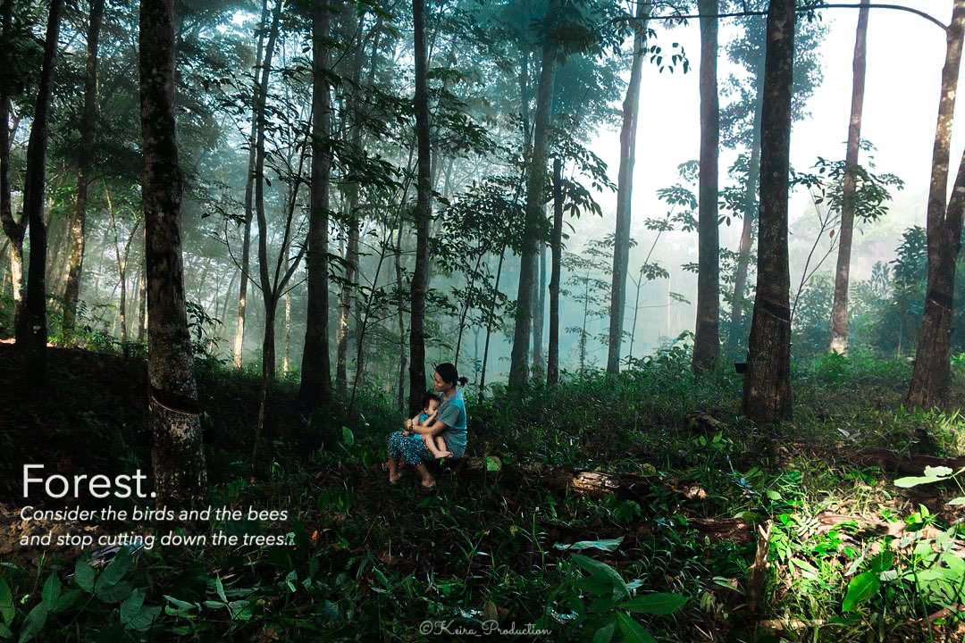 KeiraProduction's tweet photo. Di Celah2 pokok getah. Tentera2 nyamuk ready menyerang. https://t.co/pbRgDzQgFe