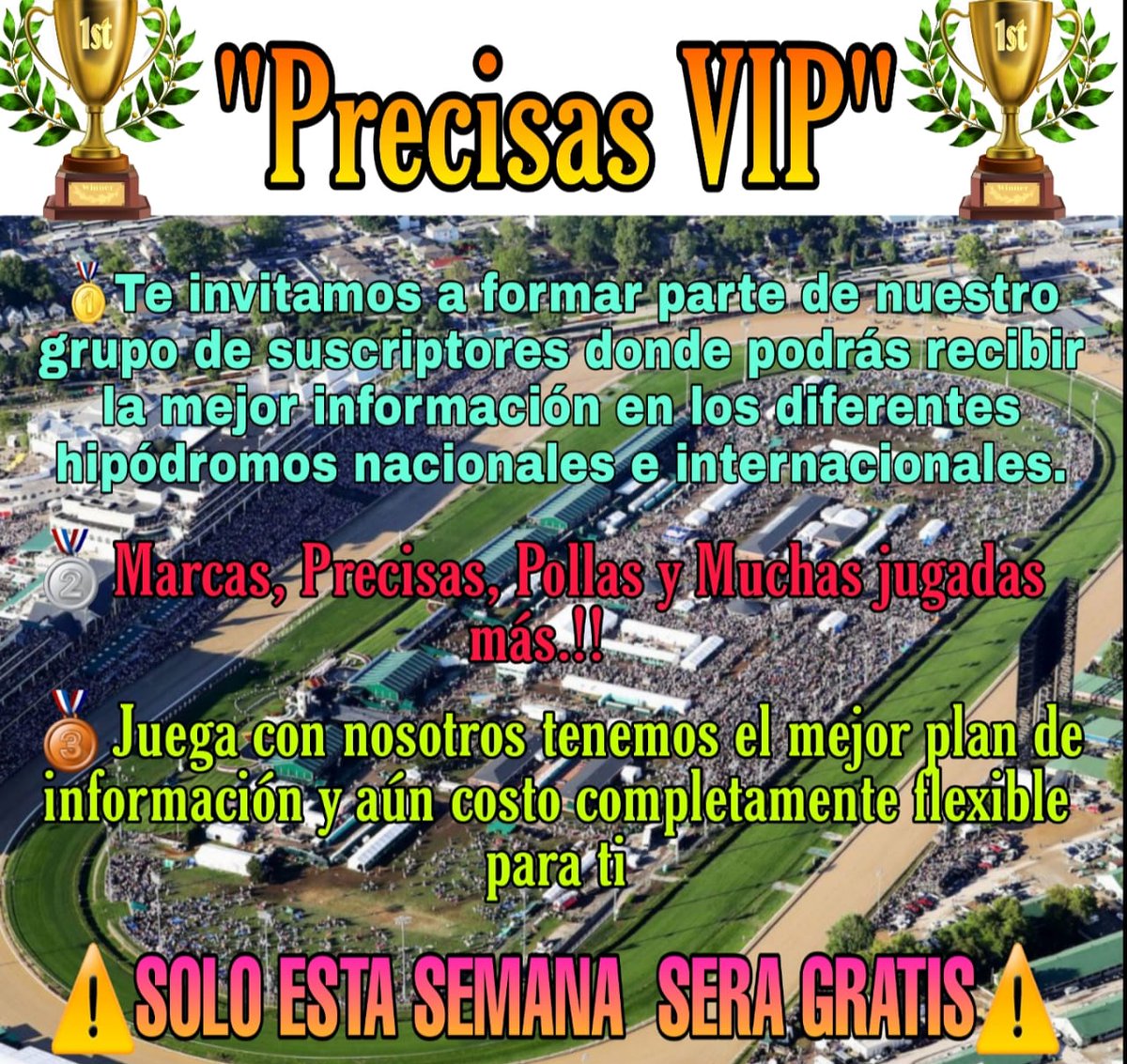 PrecisasV's tweet photo. 💰✍️🔥🏇Grupo de información hipica en los diferentes hipódromos nacionales e internacionales

🤯🏇Nota: Desde el día LUNES 11/05/2020 hasta el día DOMINGO 17/05/2020 la información será completamente GRATIS. 
Entra al grupo de WhatsApp 
https://t.co/A1NA0Y3hsT https://t.co/UNJ6FXLqga