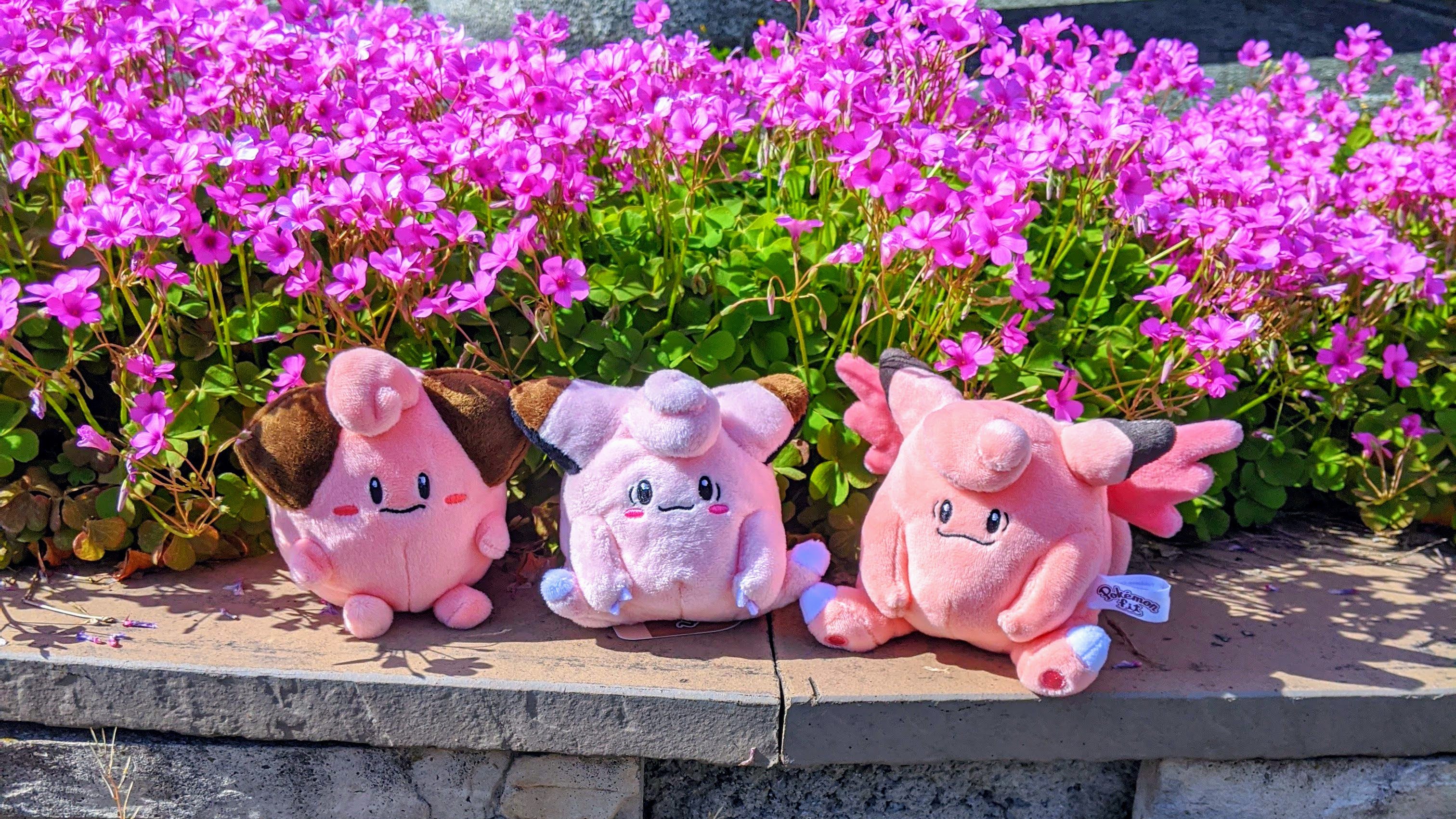 ロディマス 越後武芸館 館長 夏の歌が聴こえる春の幻想 ポケモン ピィ ピッピ ピクシー ぬいぐるみ ぬい撮り ぬいどり Pokemon Cleffa Clefairy Clefable T Co Alux374bcy Twitter