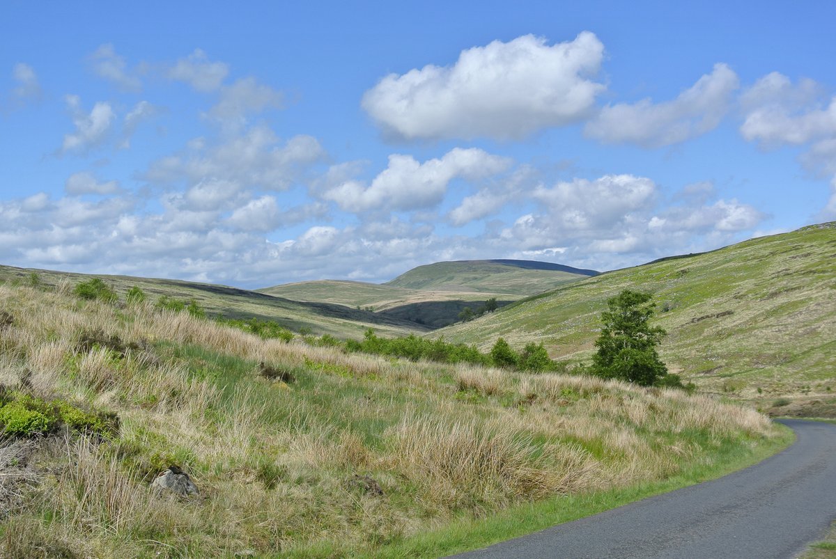 LGSpace's tweet photo. An exciting project to create a vast new nature reserve – helping wildlife, benefitting people &amp; tackling #climatechange! @LBuyout's £3m crowdfunder aims to purchase 10k acres of Langholm Moor in a major community buyout. Ps donate &amp; spread the word! More https://t.co/aUmQ9IQ12q https://t.co/48eZjbPrt6